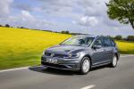Volkswagen Golf BlueMotion TGI Variant 2018 года (WW)